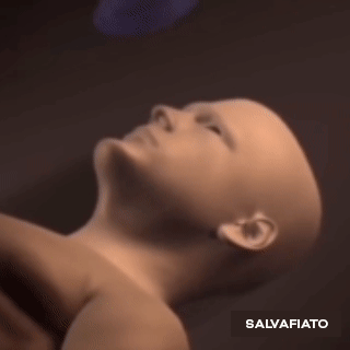 SALVAFIATO™